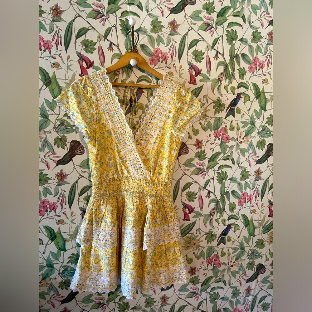 American Eagle Floral eyelet Dress
